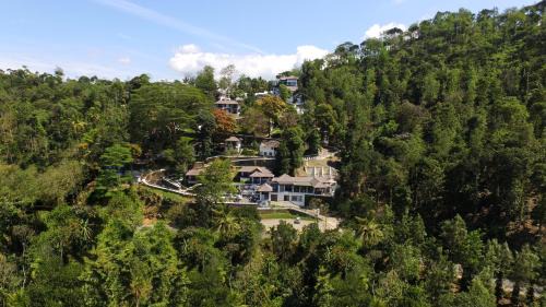 Pirmed Resort | Forest Canopy Thekkady