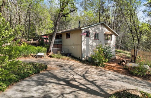 Foresthill House | Forest Cottage Large Group Retreat 27 beds Sleeps 45
