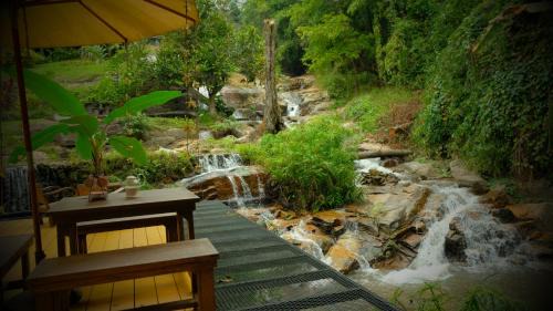 Mae Rim Bed & Breakfast | Forest falls Garden Maerim Chiangmai ตาดปลาแคมป์ออร์แกนิคฟาร์มสเตย์เชียงใหม่