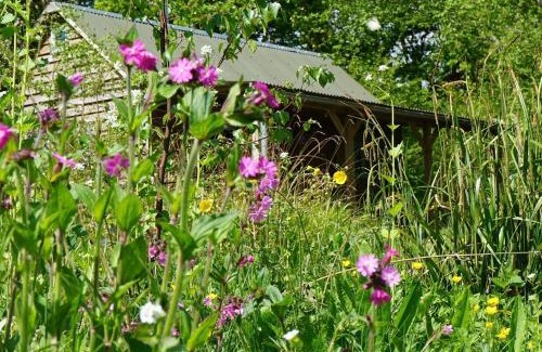 East Grinstead Other | Forest Garden Shovelstrode