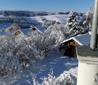 Unterkirnach Apartment | Forest Haven