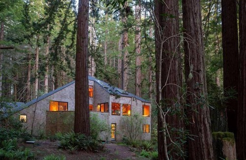 Sea Ranch House | Forest House: 2 BR, 3 BA House in The Sea Ranch, Sleeps 4