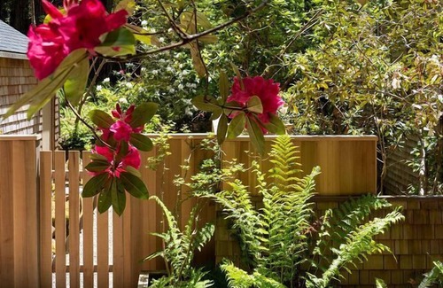 Sea Ranch House | Forest House: 2 BR, 3 BA House in The Sea Ranch, Sleeps 4
