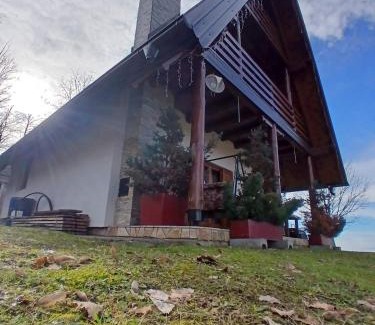 Nozicko House | Forest house ALEKSANDAR