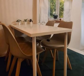 Sinchon-dong House | Forest in Hongdae