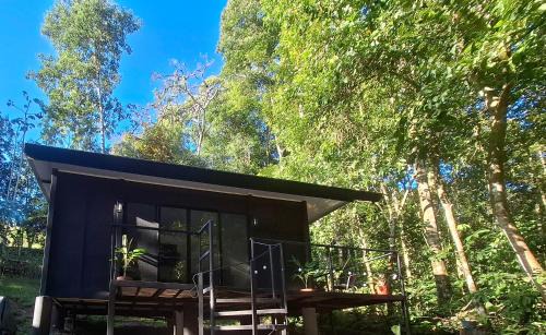 Quepos Apartment | Forest Love