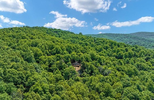 Elkton House | Forest Ridge Cabin - Hot Tub, Wi-Fi, National Park 15 Min, Fire Pit
