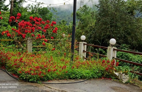 Anaviratty House | Forest View Home Stay Munnar