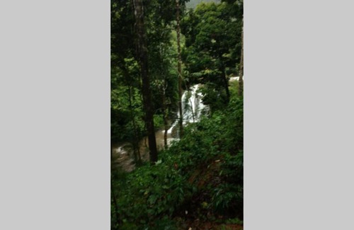 Sangameswarpet House | Forest View Homestay , Your 2nd home away from City