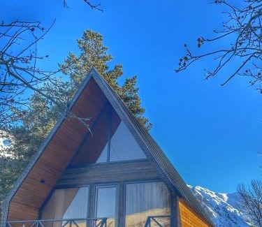 Kazbegi Cabin | Forest view kazbegi