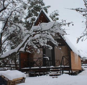 Kazbegi Cabin | Forest view kazbegi