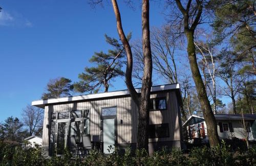 Bosgebied Hoenderloo House | Forest-View Tiny House