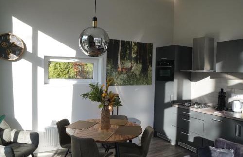 Bosgebied Hoenderloo House | Forest-View Tiny House