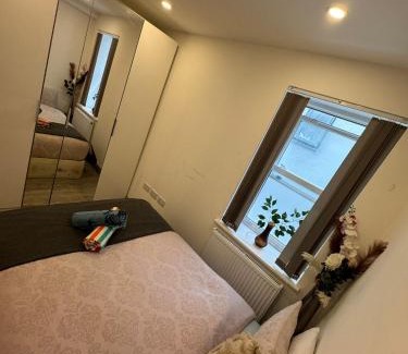 Forest Hill House | Forestroom