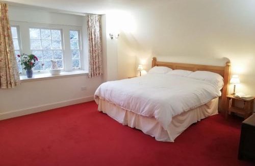 Dalmellington House | Forget Me Not - Skkz
