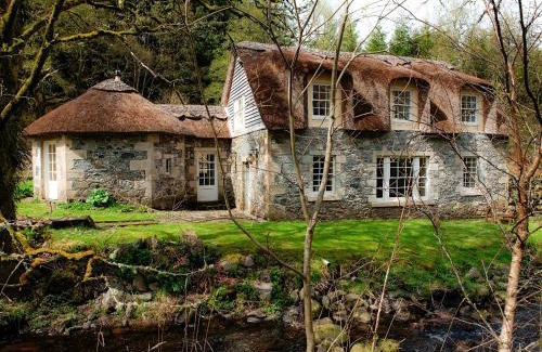 Dalmellington House | Forget Me Not - Skkz
