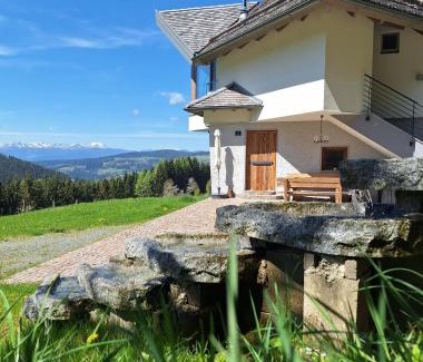 Frauenstein House | Forsthaus Gray 4