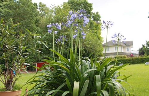 Oeverdiek Apartment | Forsthaus Wendt