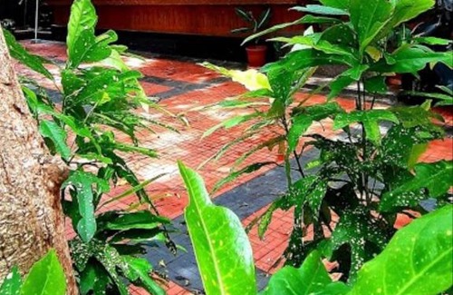Varkala Bed & Breakfast | Fortingal sea resort