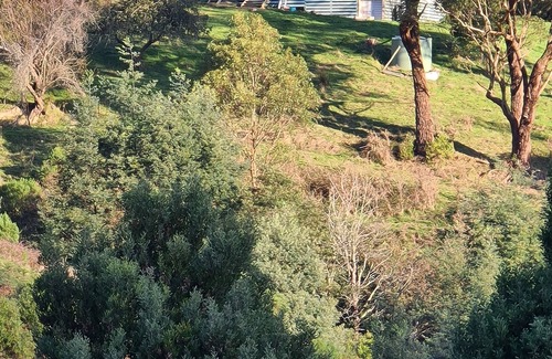Woorarra West Cottage | Foster - Nature Retreat - Nippards Nature Cottage