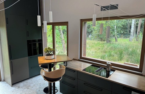 Oybin House | Foundation