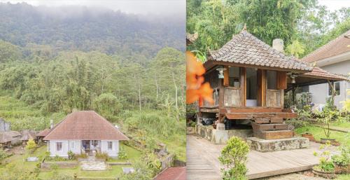 Bedugul Villa | Four Monkeys House by Bukit Vista