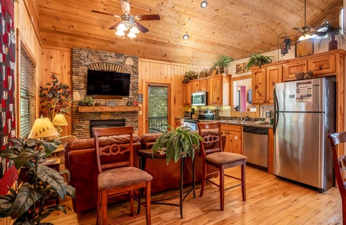 Cleveland Cabin | Four Seasons - 20% Oompah Midweek Special!