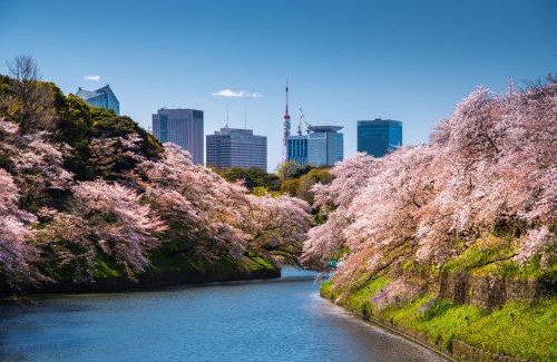 Chiyoda Hotel | Four Seasons Hotel Tokyo at Marunouchi