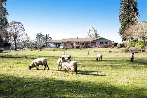 Scholls House | Four Wheels Farm