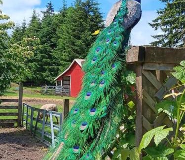 Scholls House | Four Wheels Farm