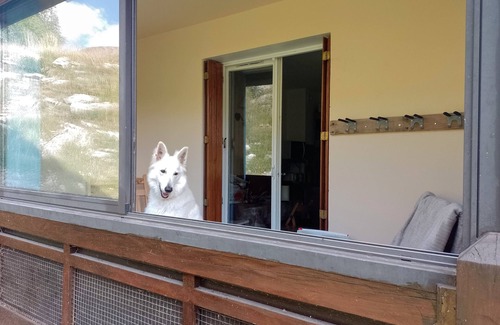 Allos Apartment | Foux d'Allos Cocooning rental with reserved parking