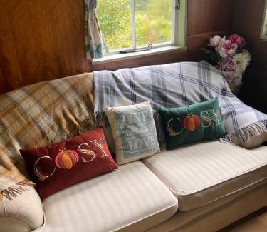 Porthyrhyd Other | Foxglove eco lodge