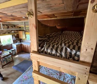 Porthyrhyd Other | Foxglove eco lodge