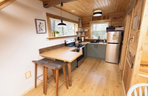 Stanton Cabin | Foxglove | Inside Nada Tunnel | Trails + Hot Tub