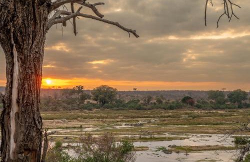 Marloth Park Cabin | Foxy Crocodile Bush Lodge & Kruger Safari's - No Loadshedding
