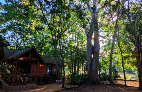 Ixtapa Cabin | Free pet-friendly nice Cabin/Wifi/AC/Kitchen/Grill