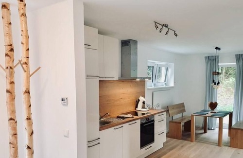 Wilhelmsthal House | Frankenwald Chalets - Haus Hans