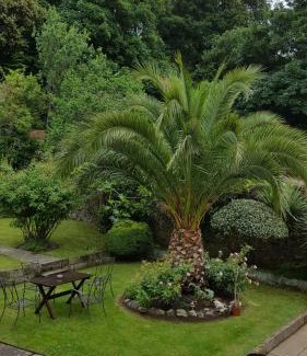 St. Helier Bed & Breakfast | Franklyn Guesthouse