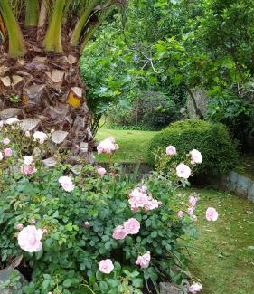St. Helier Bed & Breakfast | Franklyn Guesthouse