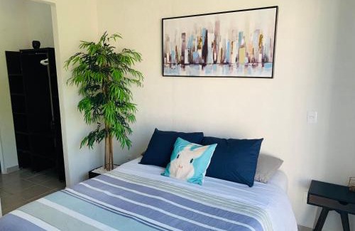 Puerto Juarez House | Franks House Collection Corifa