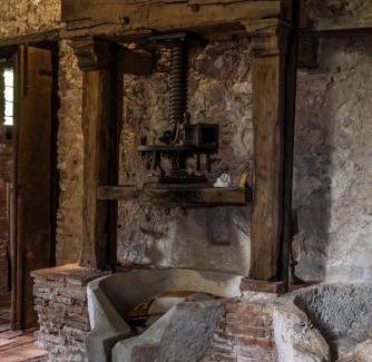Camaiore Bed & Breakfast | Frantoio Del Moscatello