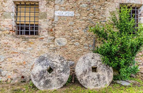 Camaiore Bed & Breakfast | Frantoio Del Moscatello
