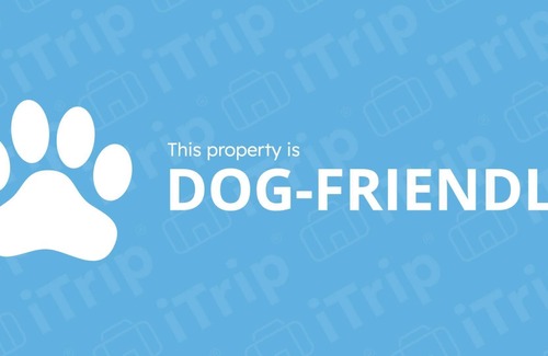 North Park City Condo | *FREE KAYAKING* Dog Friendly, Bring Fido! No Car Needed – 2 Min Walk To Bus, Hot Tub, Gym & Pool