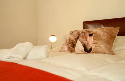 Rigomagno Villa | FREE PARKING Countryhouse The Horses -30 min of Siena - Tuscany