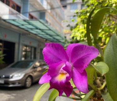 Somdet Chao Phraya House | Freedom8