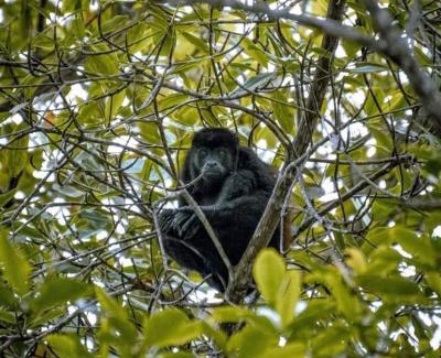 Mompiche Hotel | Frente al mar