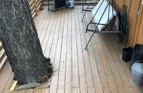 Wrightwood House | Fresh Air Cabin Hike Rest Refresh Sleeps 8
