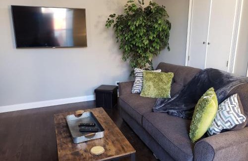 Corryville Apartment | Fresh Modern Industrial split level