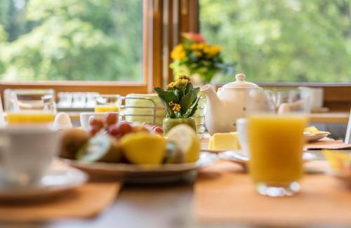 Titisee-Neustadt Apartment | Friedolin im Bärenhüsli