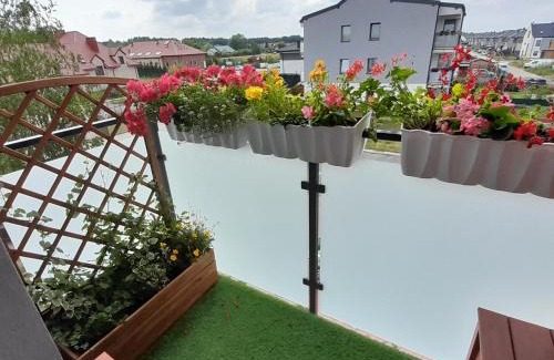 Ksiazenice Apartment | Friends - Mieszkanie 53m2 - dwie kawalerki z łazienką
